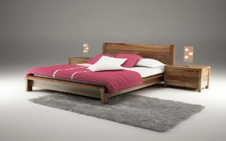 Giường ngủ bằng gỗ đẹp GN5